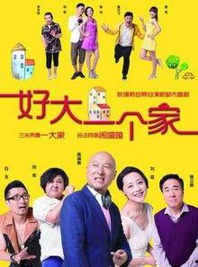 电视剧我要一个家全集,温情演绎现代家庭情感纠葛