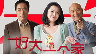 电视剧我要一个家全集,温情演绎现代家庭情感纠葛