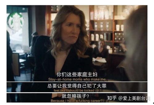 大小谎言第二季电视剧,真相与谎言的交织