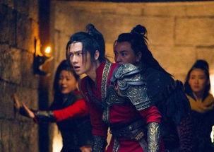 官操电视剧,权谋与情感交织的权力游戏