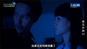 18禁不禁电视剧,18禁电视剧的隐秘世界