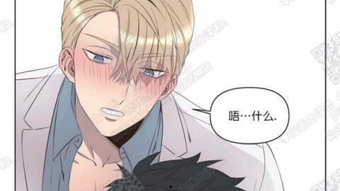 壮受美攻漫画贴吧,漫画贴吧中的激情碰撞与情感纠葛