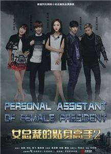 电视剧女总裁的贴身高手,风云际会，情动商海