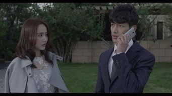 电视剧女总裁的贴身高手,风云际会，情动商海