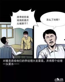 盖房子漫画,一场欢乐的建造冒险