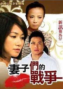 媳妇的战争电视剧