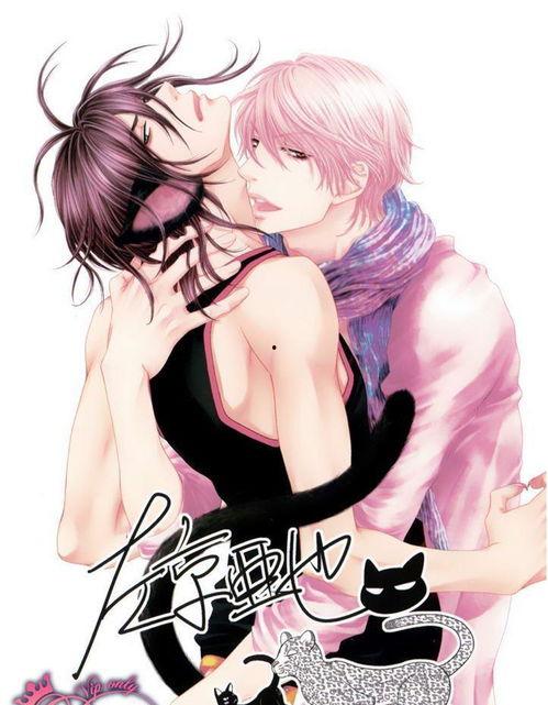 黑猫男友漫画全集,跨越时空的浪漫奇遇