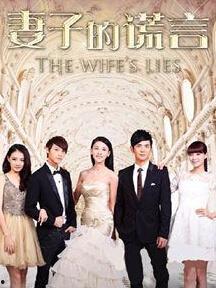 夫妻的谎言电视剧,揭开婚姻背后的秘密