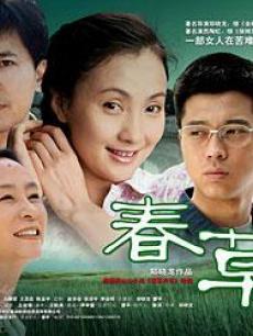 电视剧春草全集,岁月流转中的青春记忆