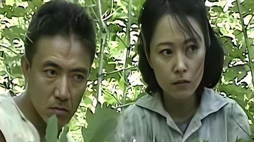 70年代农村电视剧,70年代农村生活的荧屏记忆