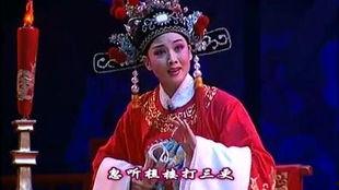 韩再芬女驸马电视剧,韩再芬演绎的传奇爱情与家国情怀