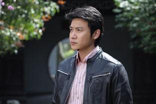 陆毅主演电视剧,演绎时代变迁的传奇人生